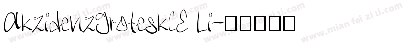 AkzidenzGroteskCE Li字体转换